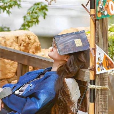 巅峰拍档第十三季