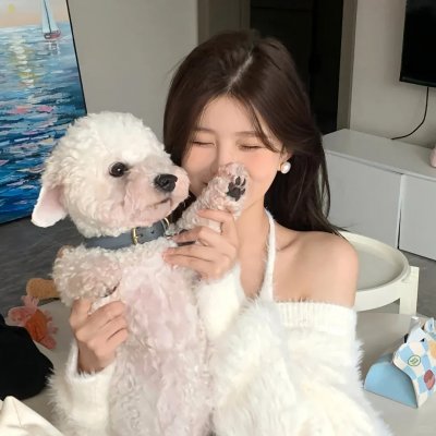 我的姐姐是反诈传奇